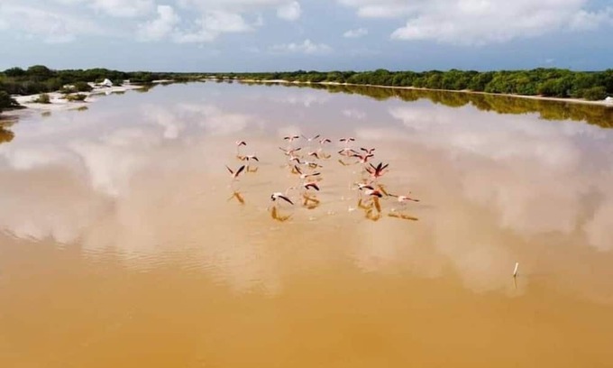 Celestun Apartment | Villa Gabriela #3 Cozy room 3 min from the beach