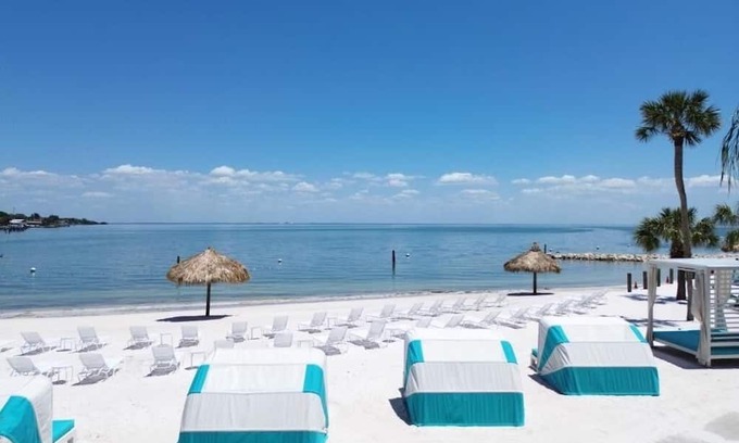 Pinellas Point House | Tropical Escape - 2 Units w/Ocean View, Marina Access & Downtown Attractions