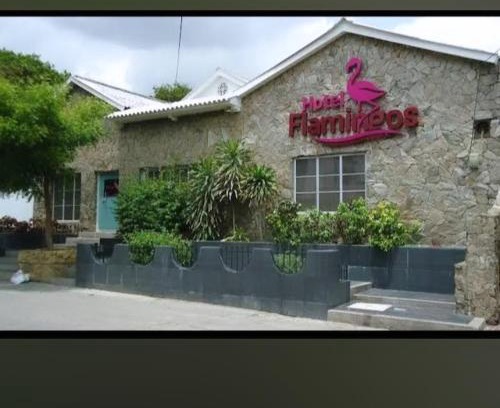 Sur Oriente Hotel | Hotel Flamingo INN