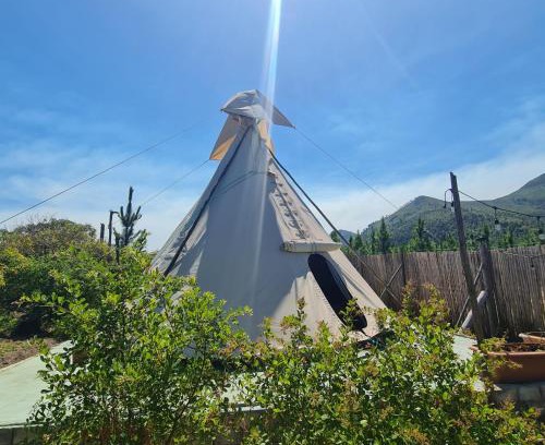 Witelsbos Other | Teepees Tsitsikamma Wolf Sanctuary